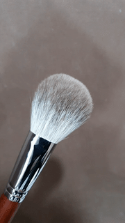 Powder Brush F250S