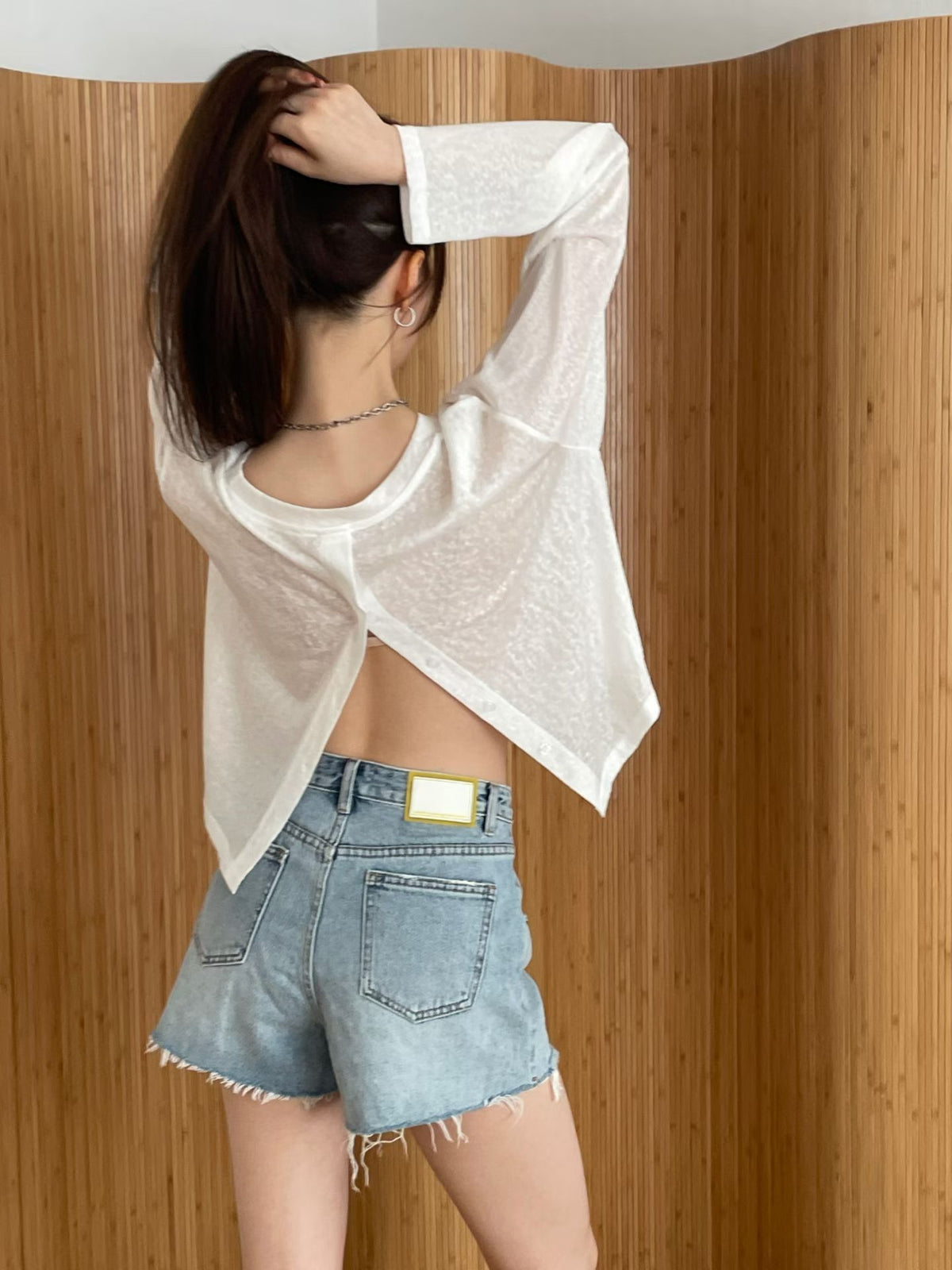 Sheer Button Long Sleeves