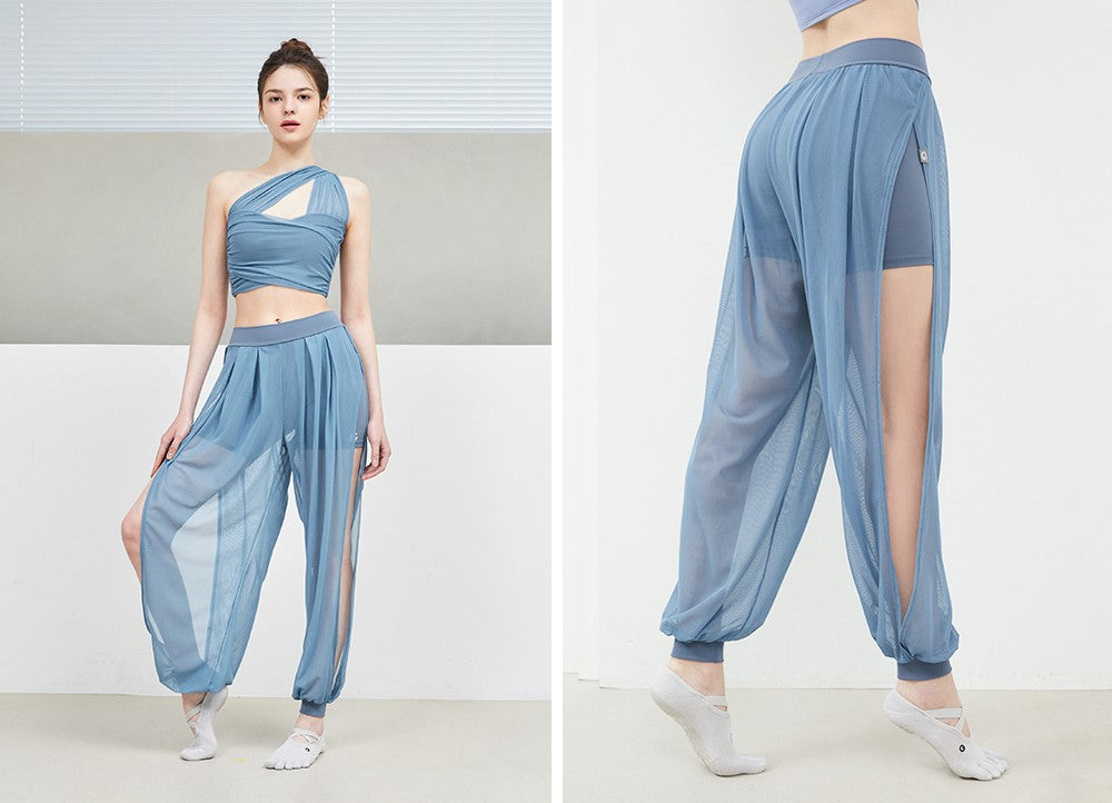 See-through Slit Harem Pants