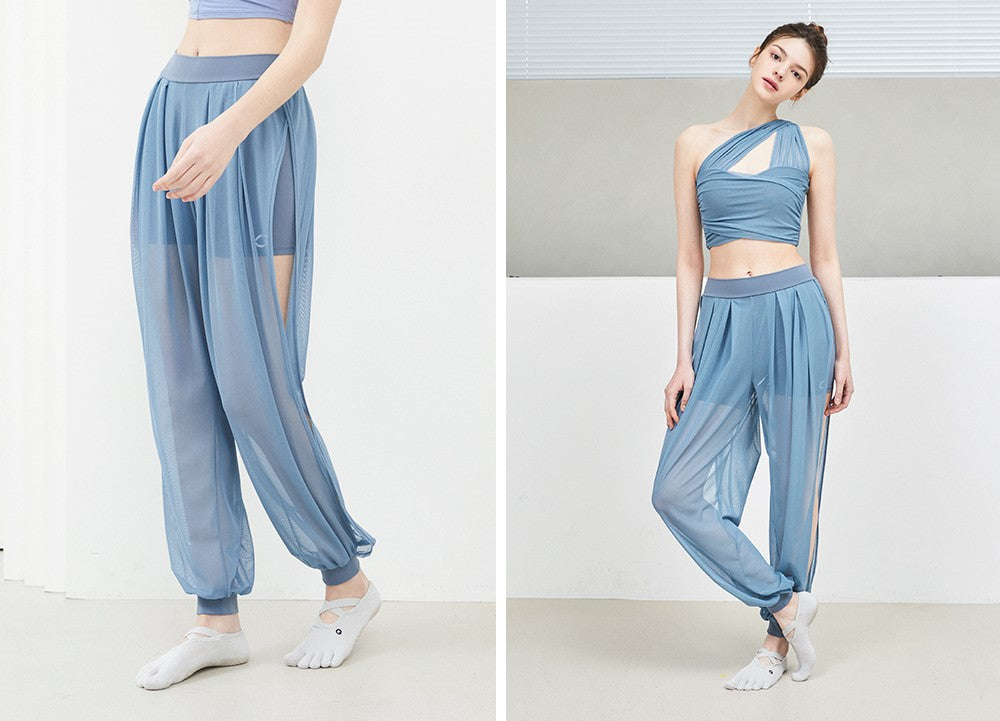 See-through Slit Harem Pants